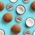 Coconut Paw Balm for Dogs by legitpet for Pet Care