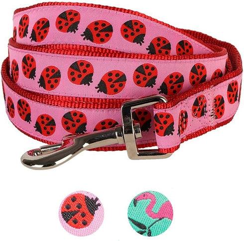 Blueberry Pet Essentials 4 ft x 1" Durable Pink Webbing Ladybug Designer Dog Leash, Basic Nylon Leash for Dogs