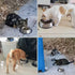 Fhiny 4PCS Stainless Steel Cat Bowls, Non-Slip Water Dish with Rubber Base, Stackable Pet Feeding Bowl for Cats