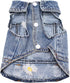 Pet Clothes Denim Dog Costume Summer Cowboy Vest, Daisy Shirt Jeans Jacket for Chihuahua and Yorkies (XXL)