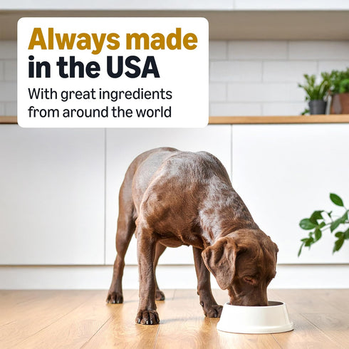 Pack, 12.5oz (6 12 Amazon Basics Wet Dog Food, Stew Variety Beef Vegetables Rice & Chicken Vegetables Rice, can, cans