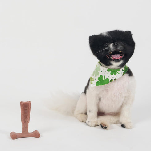 SPOT Bam-Bones Plus T Bone Dog Chew, Bamboo Fiber & Nylon, Durable for Aggressive Chewers, 4in, Beef Flavor