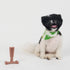 SPOT Bam-Bones Plus T Bone Dog Chew, Bamboo Fiber & Nylon, Durable for Aggressive Chewers, 4in, Beef Flavor