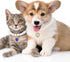 Cat Dog Pearl Necklace Collar 2pcs, Cute Fancy Jewelry Accessories with Heart Shape Rhinestone for Small Pets