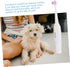 2pcs Beavorty Toothbrush Electric Pet Brush Gentle Gums Care Travel Size Random Color