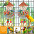 Conure Toys, Hanging Foraging Shredder Sola Balls with Bell for Small Parrots, Budgies, Cockatiels