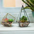 Decorative Polished Rocks, 0.3" Gravel for Plant Pots, Succulents, and Aquarium Fish Tank Decorations (1.5 LB)