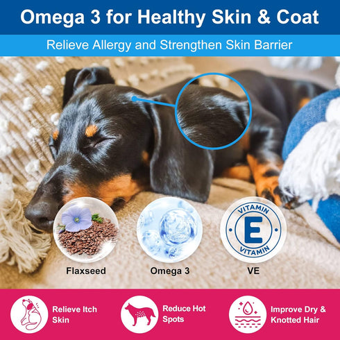 Dog Vitamins Powder, Probiotics & Digestive Enzymes for Gut Health, Complete Supplement for Joint & Skin Support
