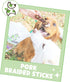 Nature Gnaws Braided Pork Bully Sticks for Dogs, 5-6" (20 Count), Natural Bacon Chew Treats