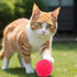 DJRDym 20 Pack 1.8 Inch Interactive Pet Play Pompoms - Soft, Non-Toxic Toy Balls for Cats & Dogs, Lightweight Balls