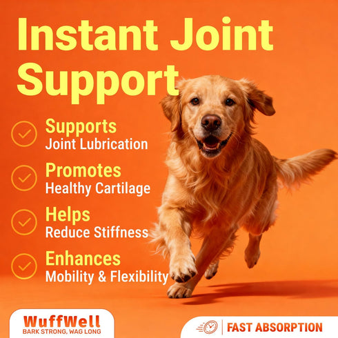 16oz WuffWell Liquid Glucosamine for Dogs Hip & Joint Support with Chondroitin, MSM & Hyaluronic Acid, Dog Joint