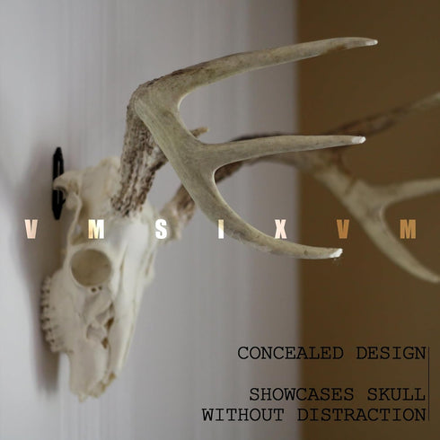 VMSIXVM European Mount Skull Hanger for Hanging Deer Head, Pronghorn, and Smaller Skulls