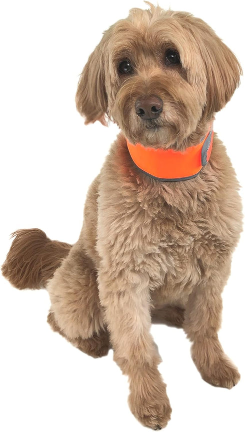 Hi-Vis Dog Cooling Collar, Orange Reflective Re-Freezable Ice Collar (Medium)