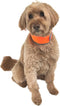 Hi-Vis Dog Cooling Collar, Orange Reflective Re-Freezable Ice Collar (Medium)