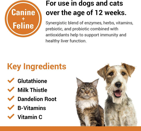Vet Classics Liver Support Supplement for Dogs & Cats, 60 Chewable Tablets - B-Vitamins, Glutathione, Milk Thistle
