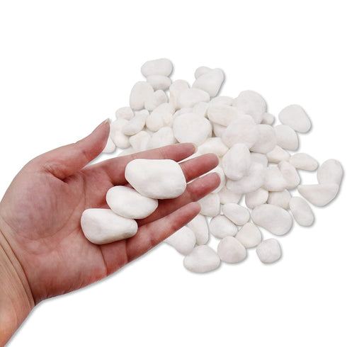 10 Lb. 1 inch 100% Unpolished White Pebbles - Pebbles for Plants, Gardens, Fish Tank Gravel, Dcor, Landscaping
