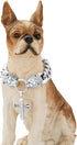 Dog Chain Collar with Lion Head Clasp, High Polished Cuban Link, Heavy Duty Chew Proof for Medium Dogs (19MM, 22")