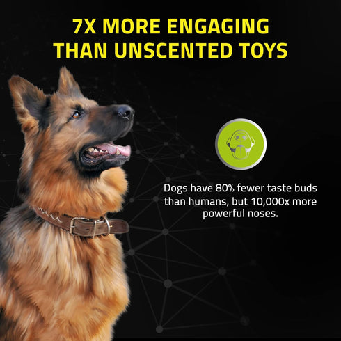 Playology Squeaky Chew Ball for Dogs, All Natural Beef Scented Toy for Medium & Large Dogs, Value 2-Pack