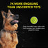 Playology Squeaky Chew Ball for Dogs, All Natural Beef Scented Toy for Medium & Large Dogs, Value 2-Pack