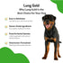 Pet Wellbeing Lung Gold for Dogs, Vet-Formulated Immune Support, 2 oz