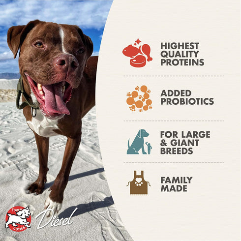 Fromm 12 lb Heartland Gold Large Breed Adult Dog Food - Dry Dog Food for Large & Giant Breeds - Beef Recipe