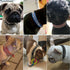 Spiked Dog Collar for Small Dogs, Soft PU Leather Spike Puppy Collar Anti Bite Studded Rivet for Kittens Small Medium
