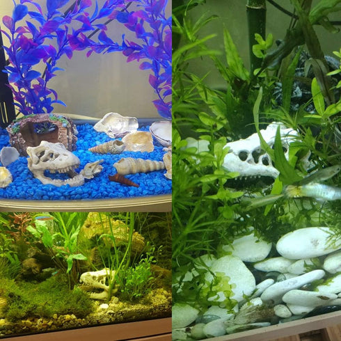 Mini Dinosaur Skull Aquarium Ornament | Resin Tank Decoration for Betta Fish | Small Reptile Hideout with Holes