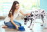 PetLike Ants Away Dog Bowls, No Spill Cat Food Bowl, Water Food Feeder for Small Medium Dogs