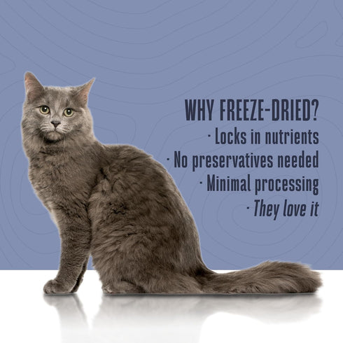 Whole Life Cat Living Treats for Cats – Human Grade Probiotics for Gut Health, Natural Digestive Support, Chicken &