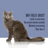 Whole Life Cat Living Treats for Cats – Human Grade Probiotics for Gut Health, Natural Digestive Support, Chicken &