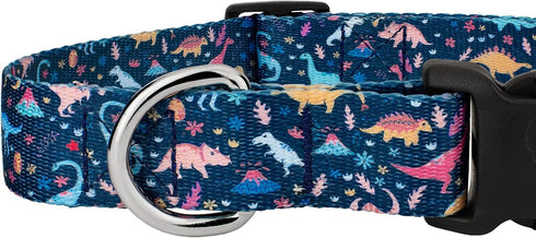Country Brook Petz Deluxe Dinosaurs Dog Collar, Made in The U.S.A., Critter Corner Collection (1 Inch, Large)