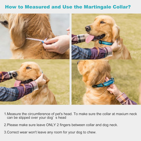 Martingale Dog Collar, Fashion Print Pattern, No Pull Safety Training Collar, Medium, Turquoise