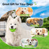 Treat-Dispensing Dog Toys, Durable Rubber Puppy Toys for Boredom, Dog Treat Balls for Small & Medium Breed, 2 Pack