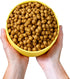 Wild Earth Vegan Dry Dog Food, 4lb Bag - Performance Formula, Plant-Based Vegetarian Kibble, Wheat-Free