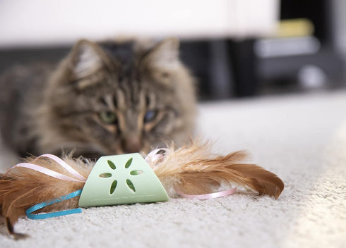 SmartyKat Flutter Roller Cat Toy, Feather & Ribbon Chase, One Size (Green)