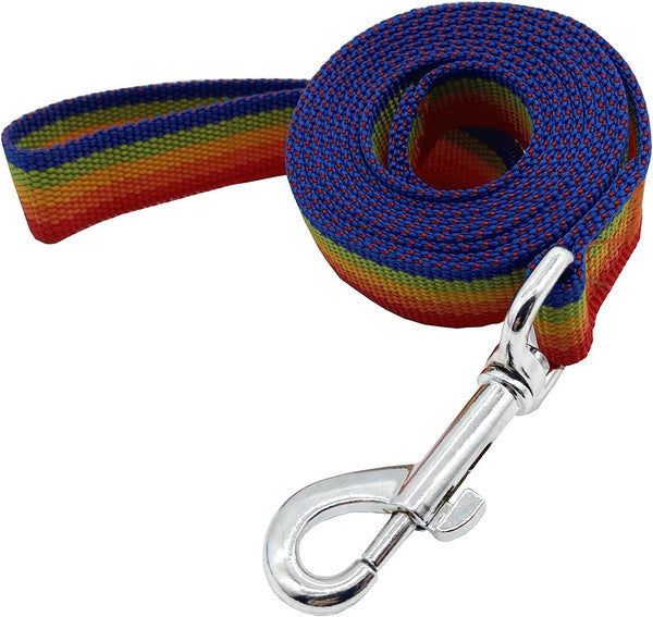 Nylon Dog Training Leash, Traction Rope, 4Ft/5Ft/6Ft Long for Small and Medium Dogs (Rainbow, 1'' x 15 FT)