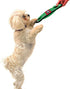 Pets First NCAA Football Field DOG TOY with Squeaker - GEORGIA BULLDOGS for Tug, Toss, and Fetch
