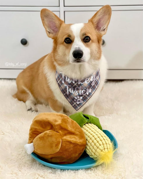 Thanksgiving Bandana for Dogs - Festive Pet Accessory