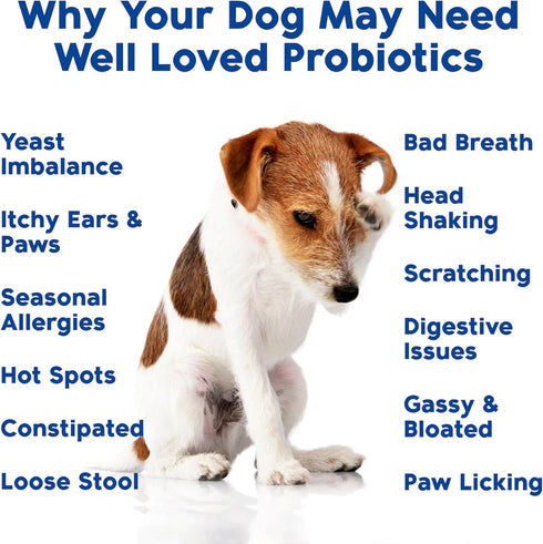 Well Loved Probiotics for Dogs, Dog Probiotics, Made in USA, Vet Developed for Gut Health, Yeast Balance, Itchy Skin