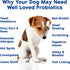 Well Loved Probiotics for Dogs, Dog Probiotics, Made in USA, Vet Developed for Gut Health, Yeast Balance, Itchy Skin