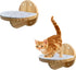 2 PCS Cat Climbing Shelf Wall Mounted,Cat Wall Shelves,Wooden Cat Wall Climbing Steps Cat Wall Ladder Stairs Wall Mounted Cat Climbing Step Cat Wall Shelf Cat Climber for Cats Perch Platform Supplies