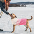 ASENKU Warm Dog Sweater for Small Medium Dogs - Thick Pullover Turtleneck Sweater for Fall Winter Clothing