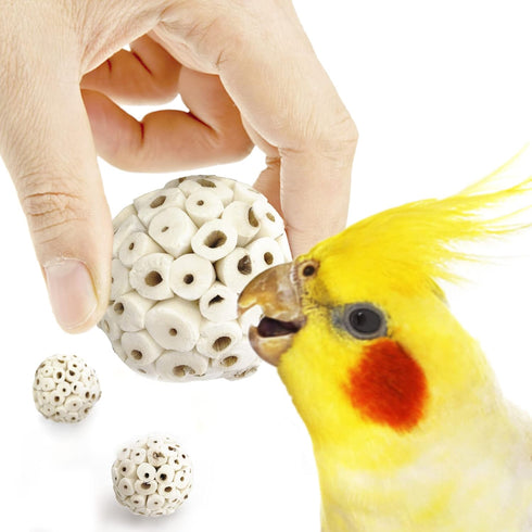 SunGrow Sola Atta Foraging Balls, 2”, White Soft Shred Parrot Chews, 3 Pcs/Pack for Small Pets