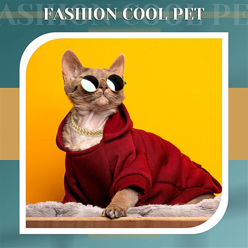 Xuniea 2 Pieces Cat Dog Chain Collar and Sunglasses Set, Rhinestone Collar with Secure Buckle and Round Glasses (Gold,