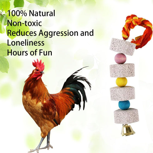 YOULJINTFA 2 Pcs Large Chicken Chewing Toy with Bell Chicken Coop Accessories Chick Beak Grinding Calcium Stone