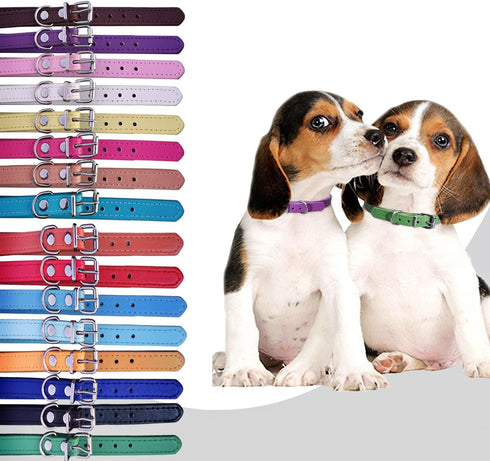 Adjustable ID Pet Collar Set of 12 or 16, Leather for Medium Large Breed Dogs, Neck 6''~18'' (S: Neck 6"~12")