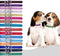 Adjustable ID Pet Collar Set of 12 or 16, Leather for Medium Large Breed Dogs, Neck 6''~18'' (S: Neck 6"~12")