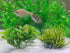 AQUANEAT Fish Tank Plants, 10pcs Plastic Green Decorations for Aquarium