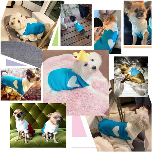 CHBORCHICEN Pet Dog Sweaters - Classic Knitwear Turtleneck Winter Warm Puppy Clothing (Sky Blue, Large)