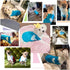 CHBORCHICEN Pet Dog Sweaters - Classic Knitwear Turtleneck Winter Warm Puppy Clothing (Sky Blue, Large)